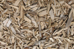 biomass boilers Trescott