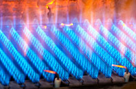 Trescott gas fired boilers