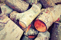 Trescott wood burning boiler costs
